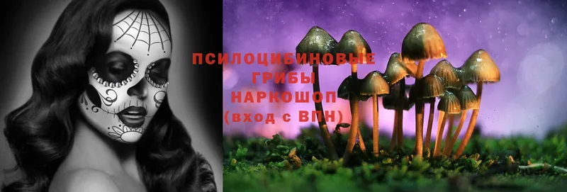 Галлюциногенные грибы Psilocybine cubensis  Лабытнанги 